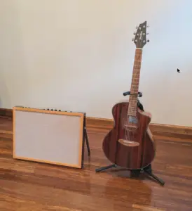 The Model twenty two flat panel guitar speaker